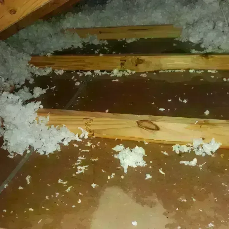 Attic Water Damage in Boscobel, WI